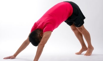 Introduction to yoga